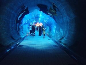 Industrial Monitoring via Ground Coupled Communication